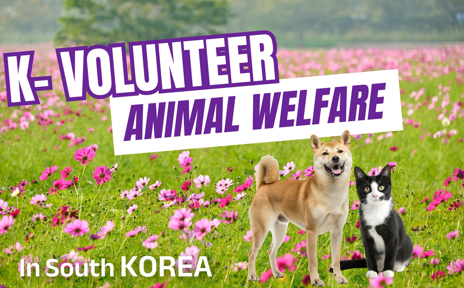 제목을-입력해주세요_-005 (2).jpg