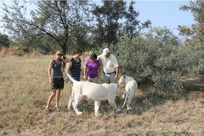 스크린샷 2013-04-22 오후 1.51.22.png