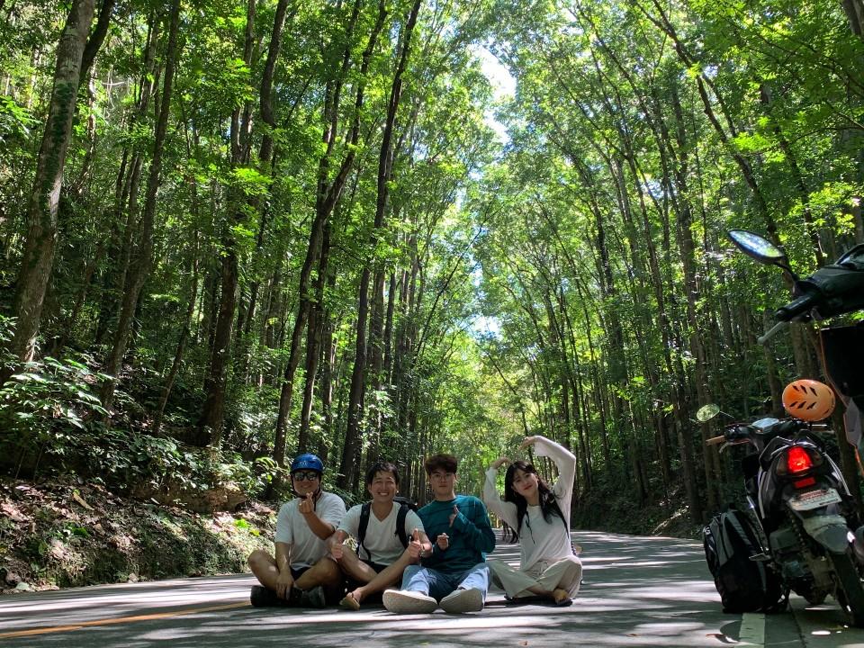gapyear