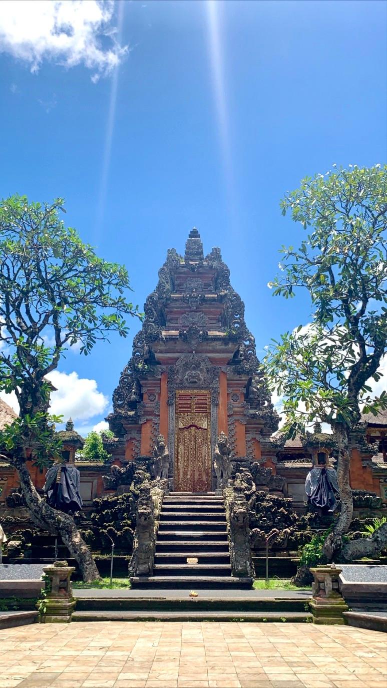 gapyear
