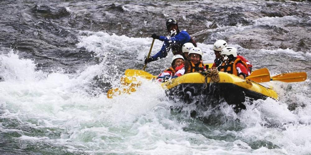 gapyear