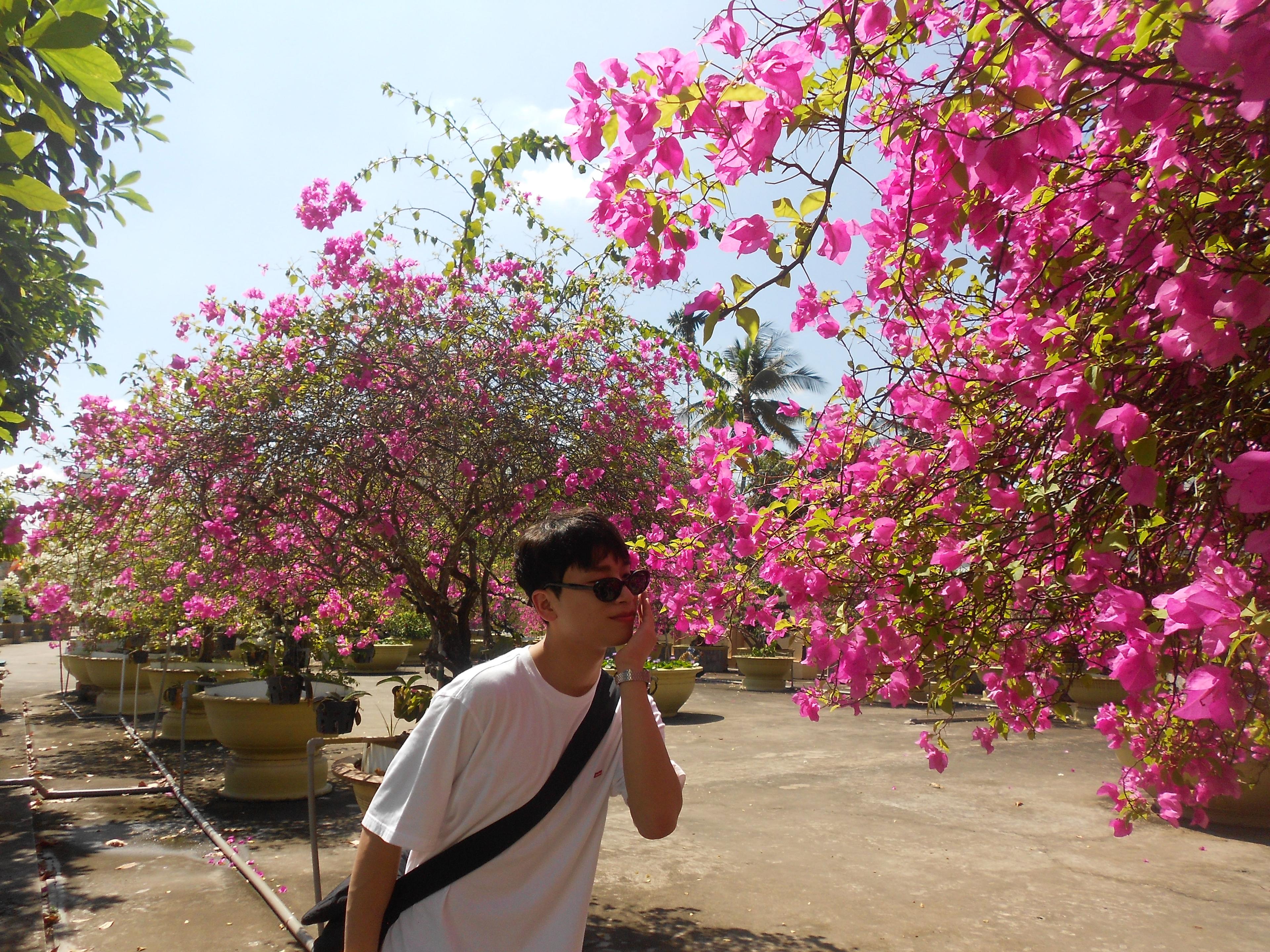 gapyear