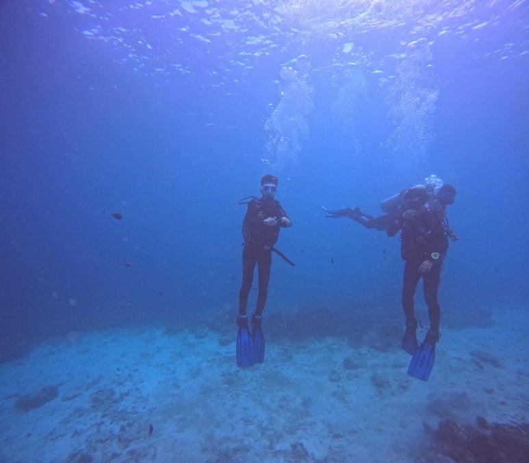 gapyear
