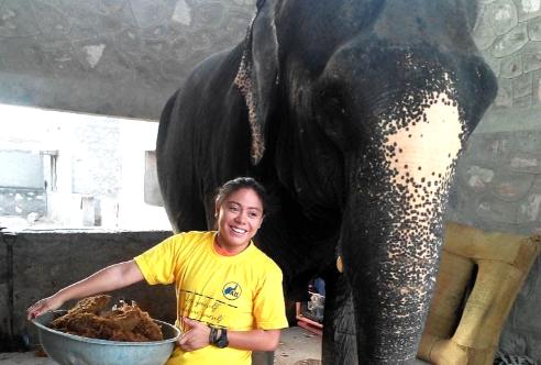 gapyear