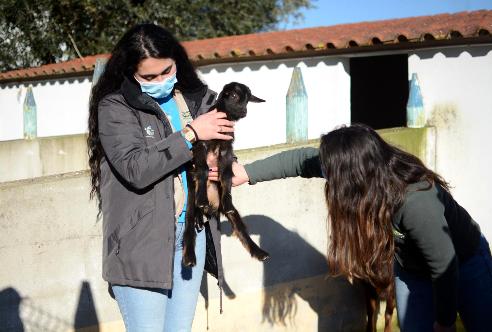 gapyear