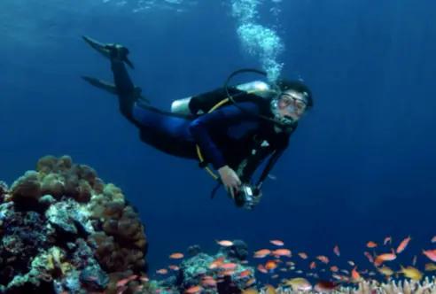 gapyear