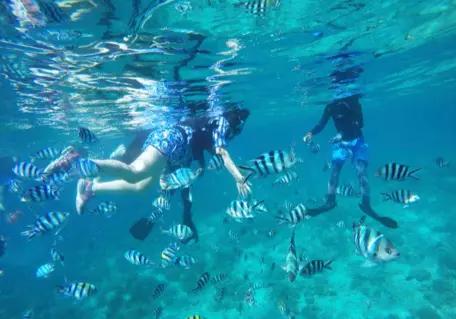 gapyear
