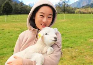 gapyear