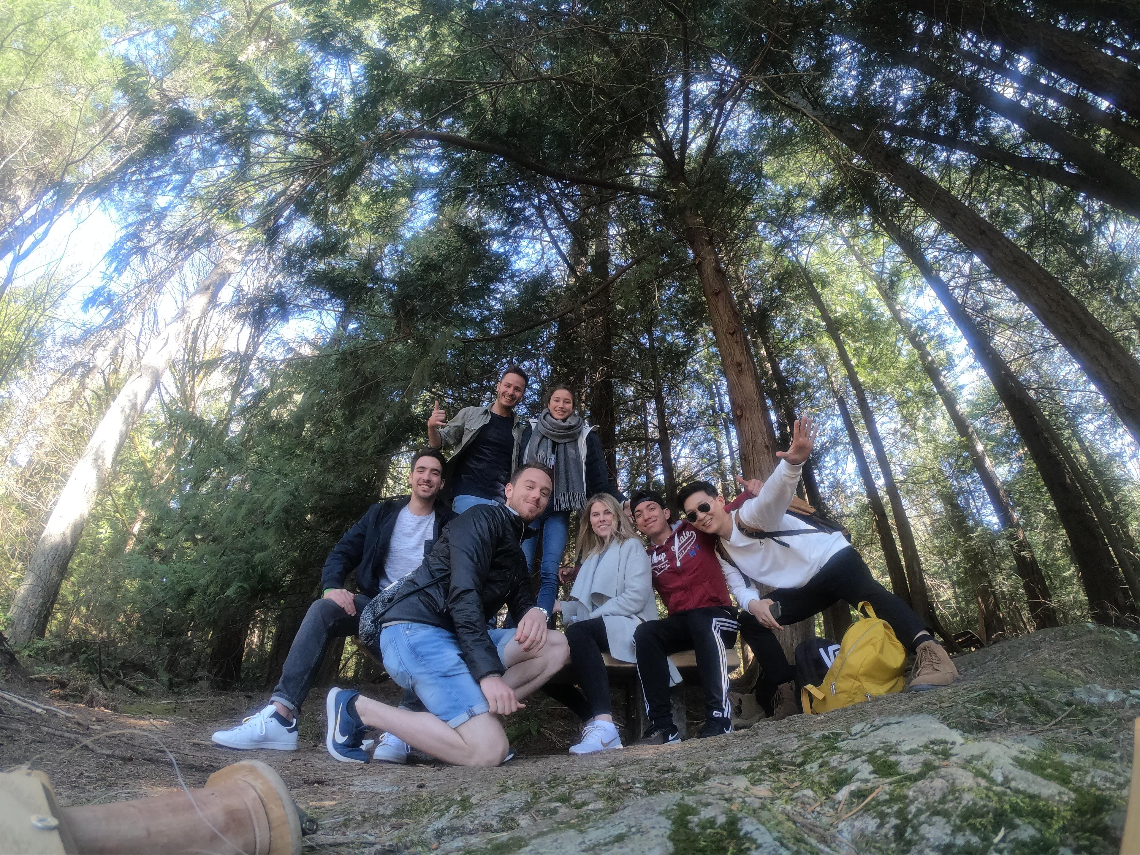 gapyear