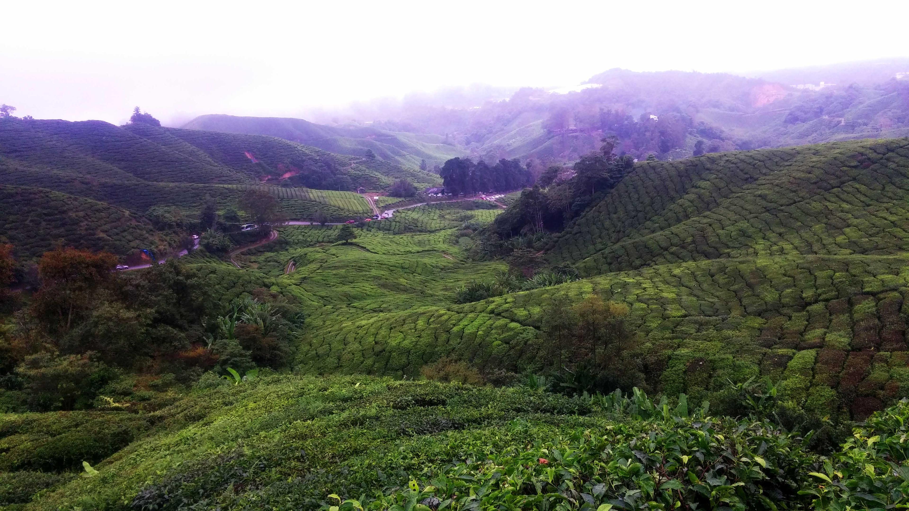 gapyear