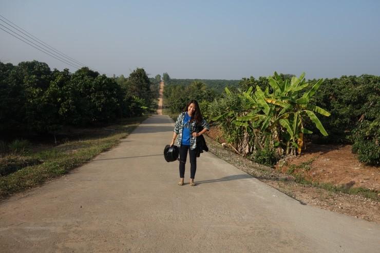 gapyear