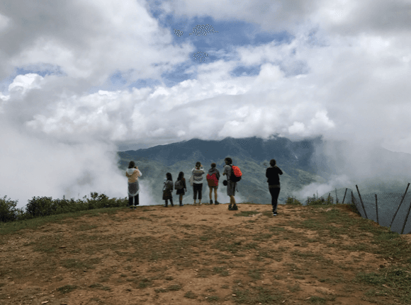 gapyear