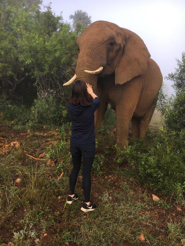 gapyear