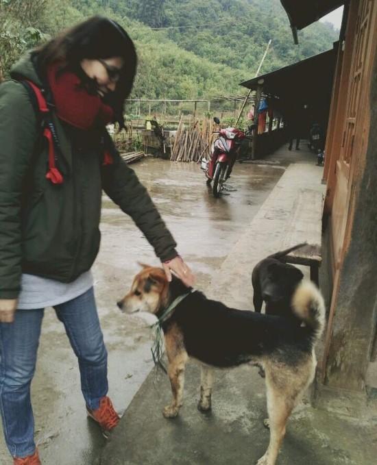 gapyear
