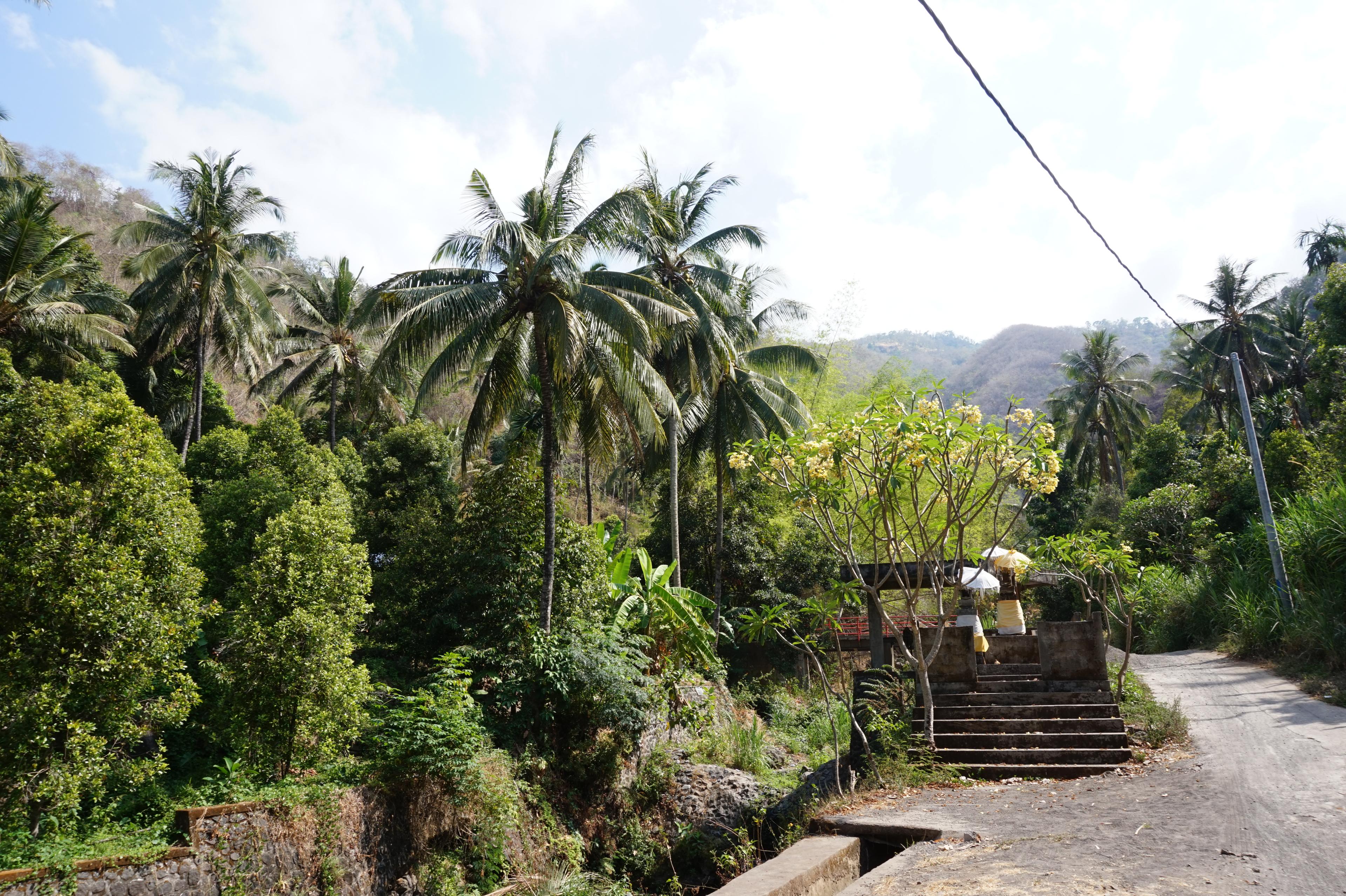 gapyear