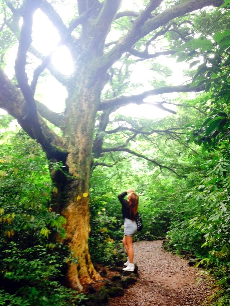 gapyear