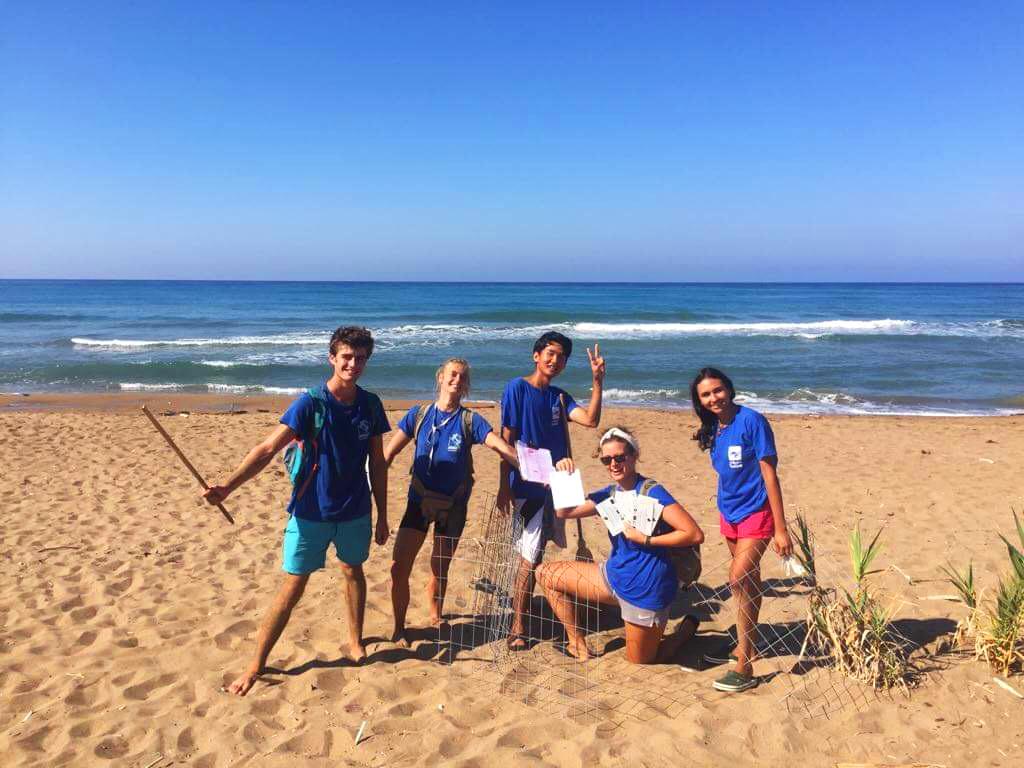 gapyear