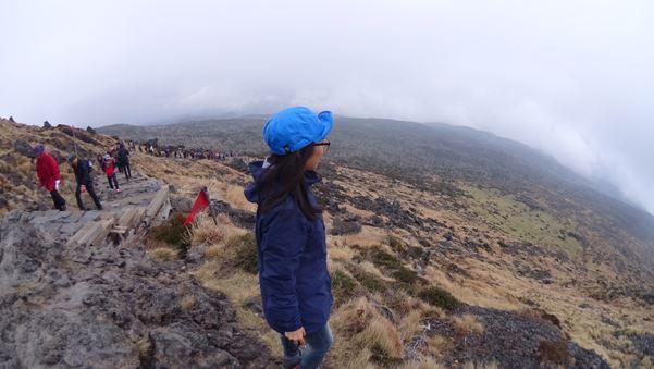 gapyear