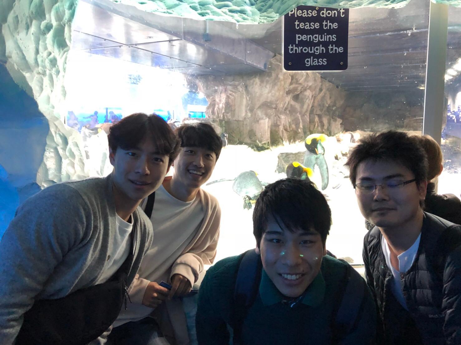 gapyear