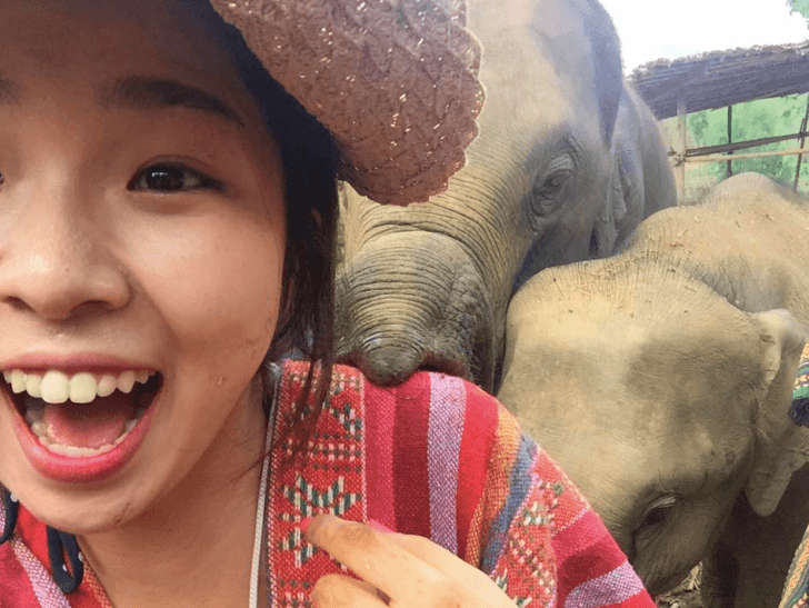 gapyear