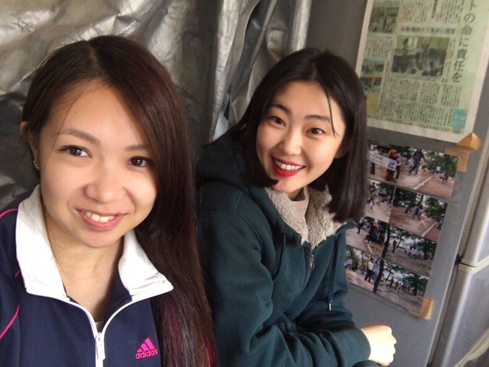gapyear