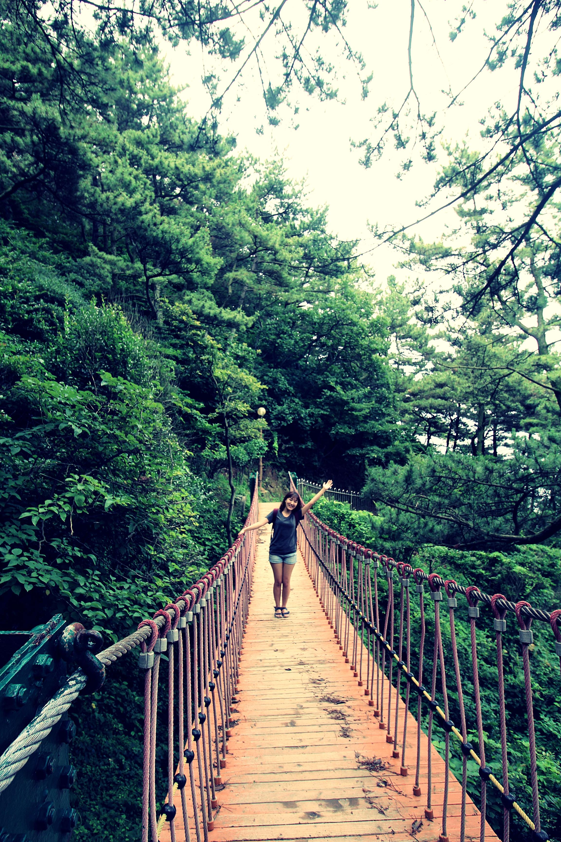 gapyear