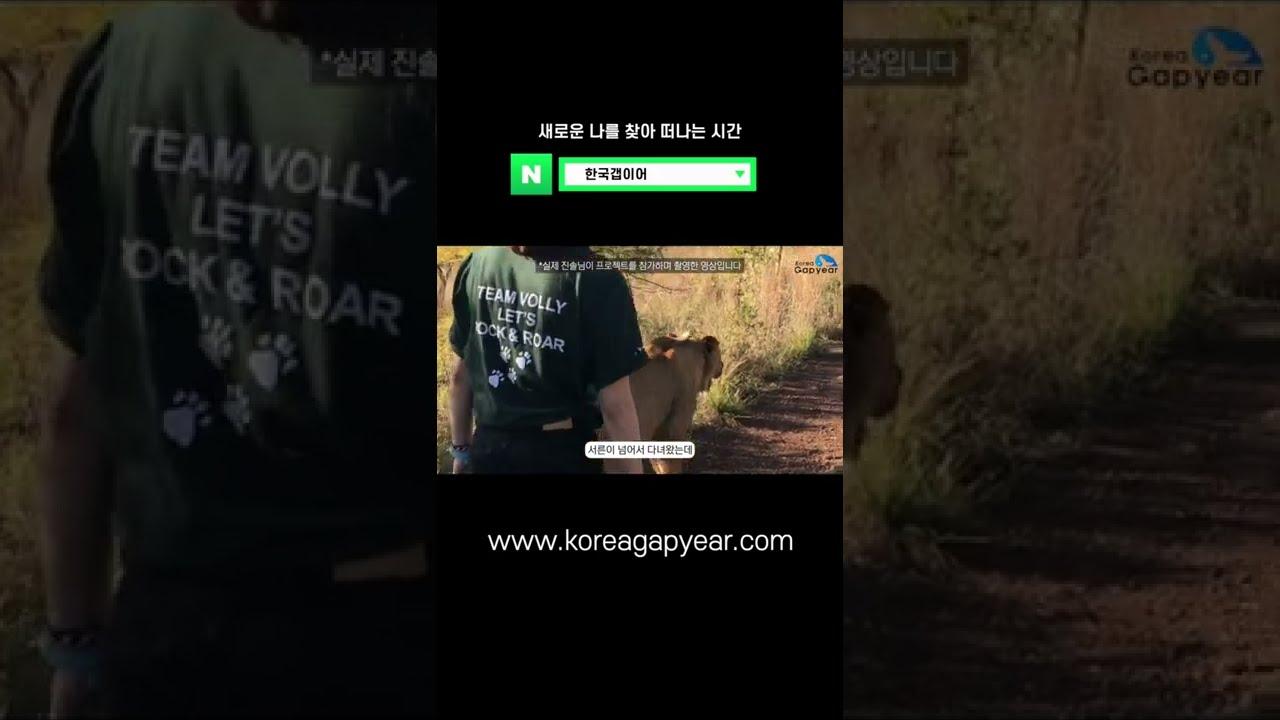 #Shorts 야생동물들과 즐기는 나만의 휴가 🇿🇦 남아공 봉사여행 후기