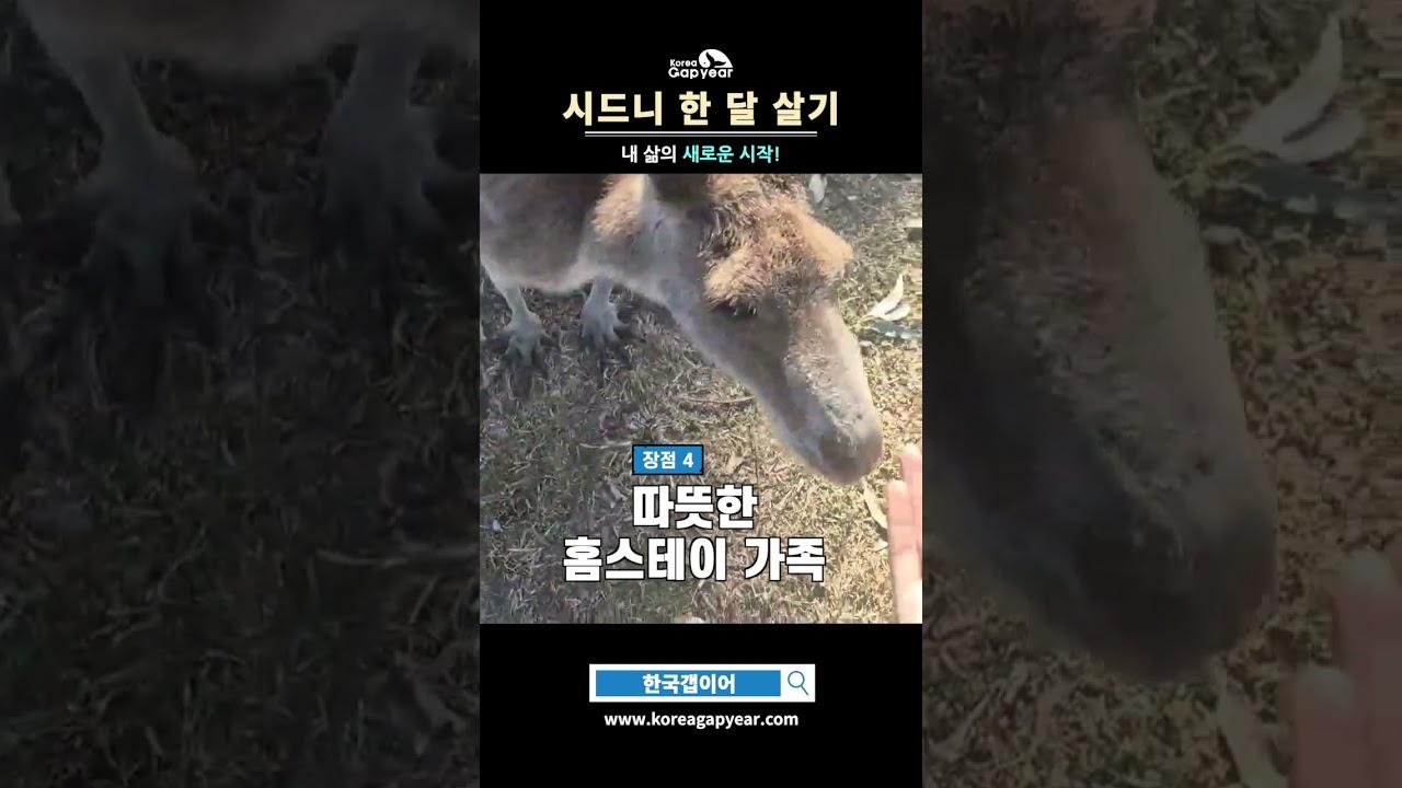 직장인이 퇴사 후 떠난 시드니 한달살기 갭이어  #gapyear #시드니한달살기 #한국갭이어 #호주한달살기