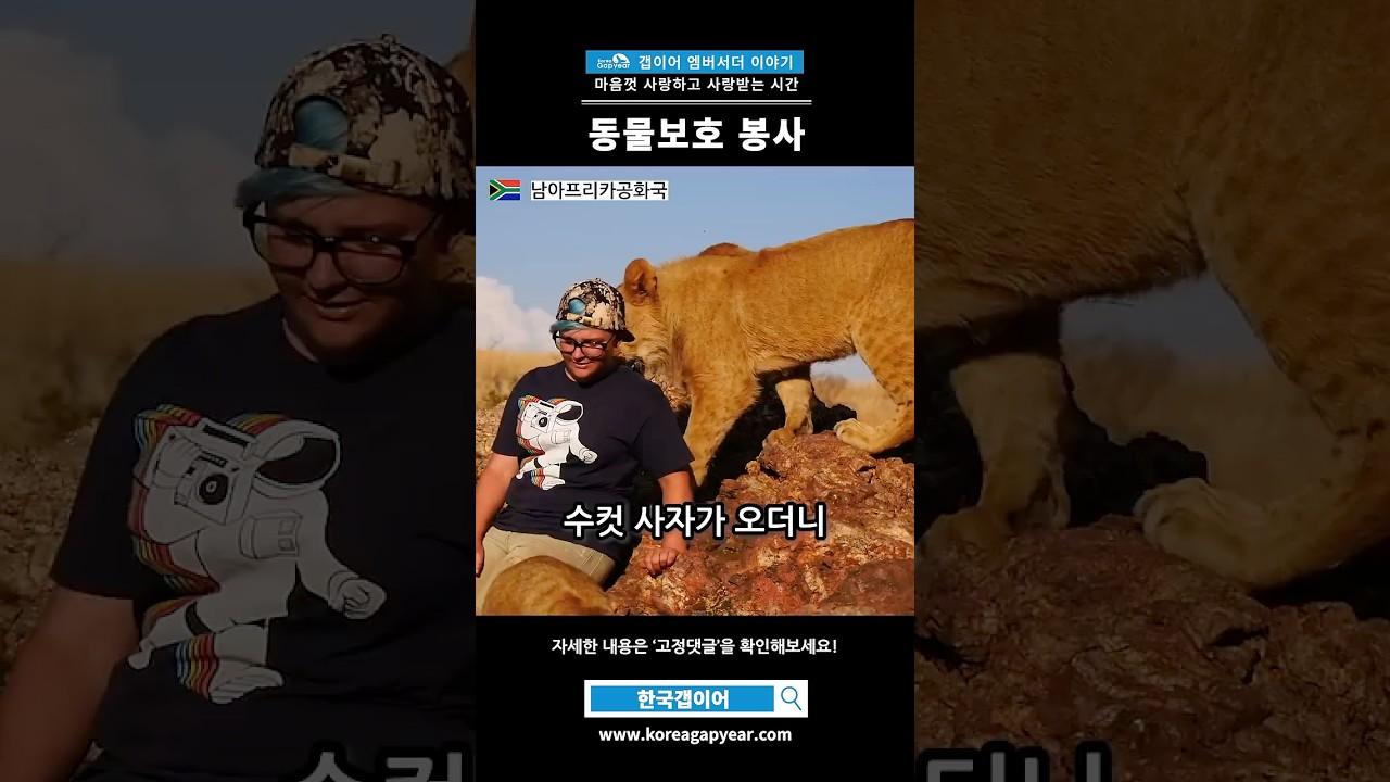 한국갭이어 해외 동물봉사 프로그램을 소개합니다 #해외동물봉사 #gapyear #야생동물구조