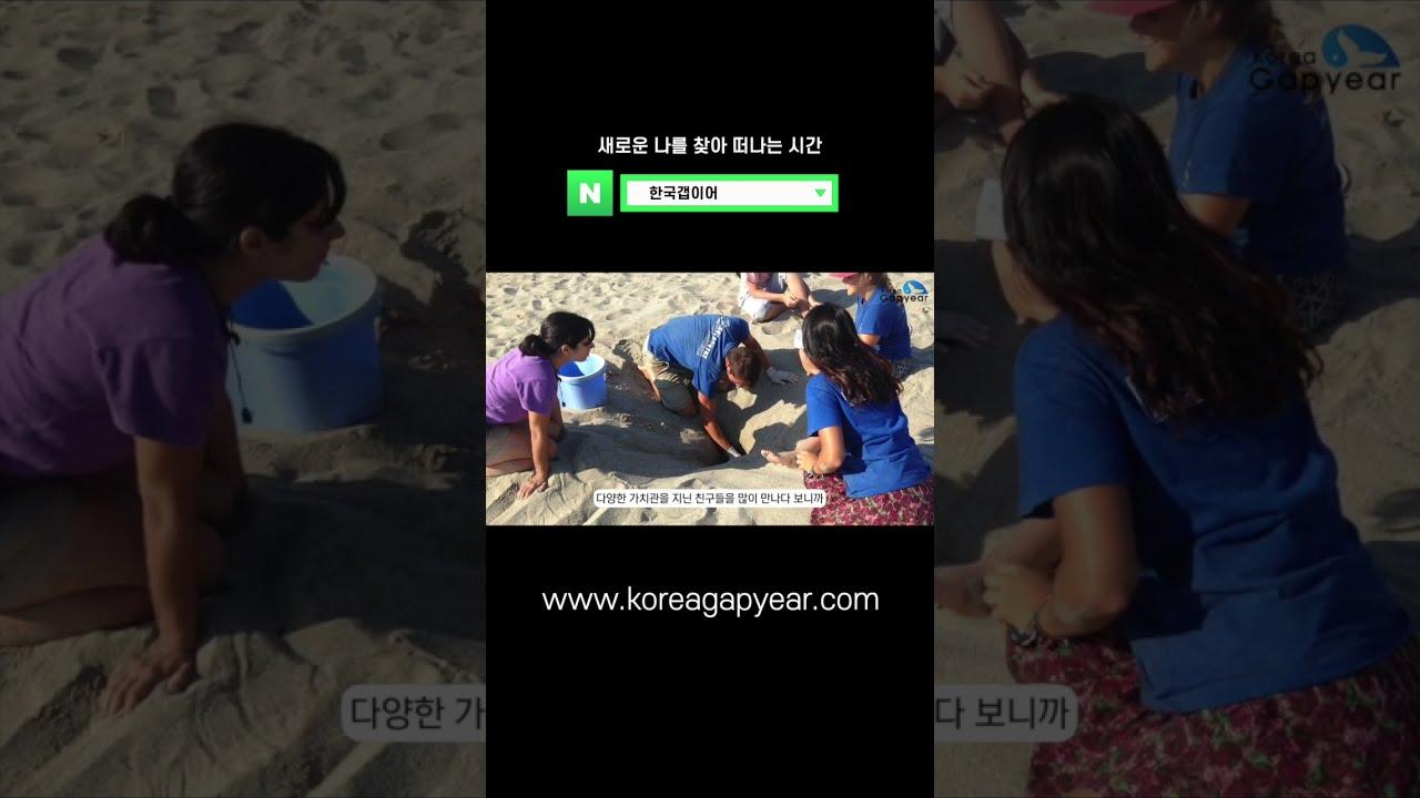 #Shorts 지중해에서 상처입은 거북이 구출작전! 🇬🇷 그리스 봉사활동 후기