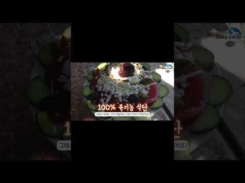 #Shorts 여유 가득한 그리스 마을공동체 인턴 후기! 🇬🇷 그리스 인턴십 후기