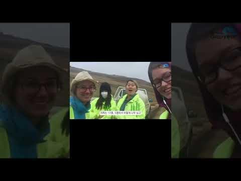 #Shorts 내 손으로 지키는 대자연! 🇦🇺 호주 봉사활동 후기