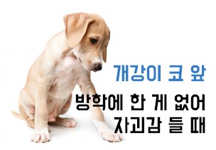 06192c0085426b15bdd37bdfe36dc91c_main.jpg