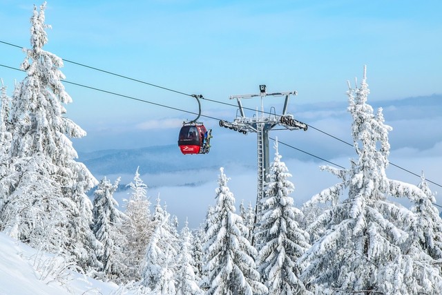 38f33300e7e48b36fa49d782d6d6934b_gondola-1949683_960_720.jpg