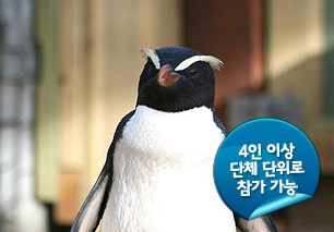 129bb313adea7da4319f476f8b49aef9_main1.jpg