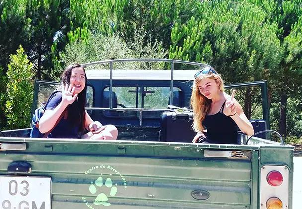 gapyear