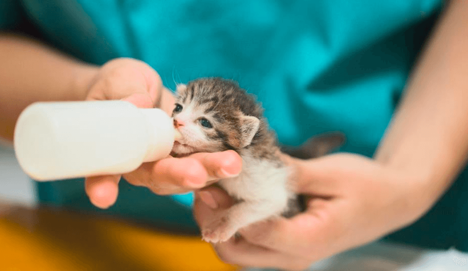 스크린샷 2025-04-04 오후 6.02.50.png