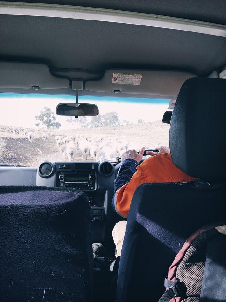 gapyear