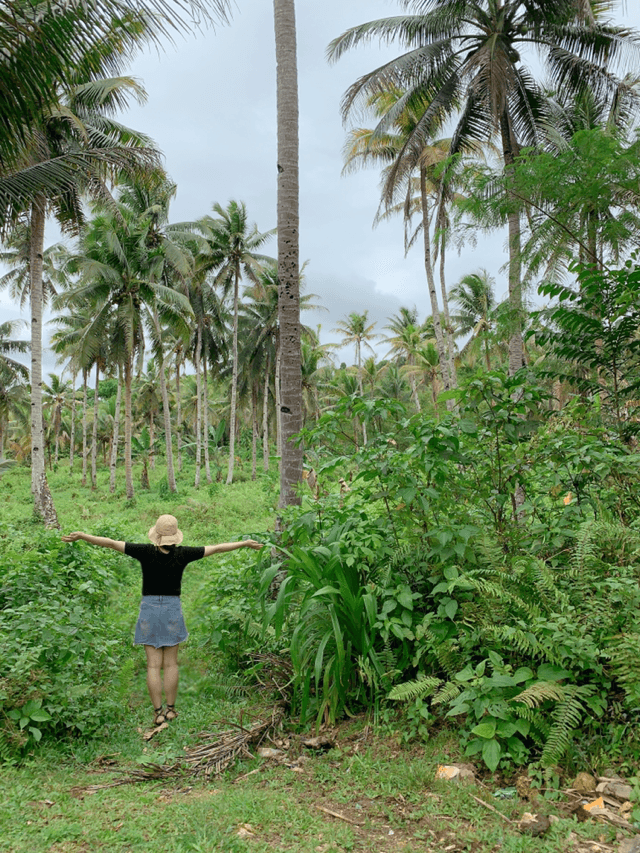 gapyear