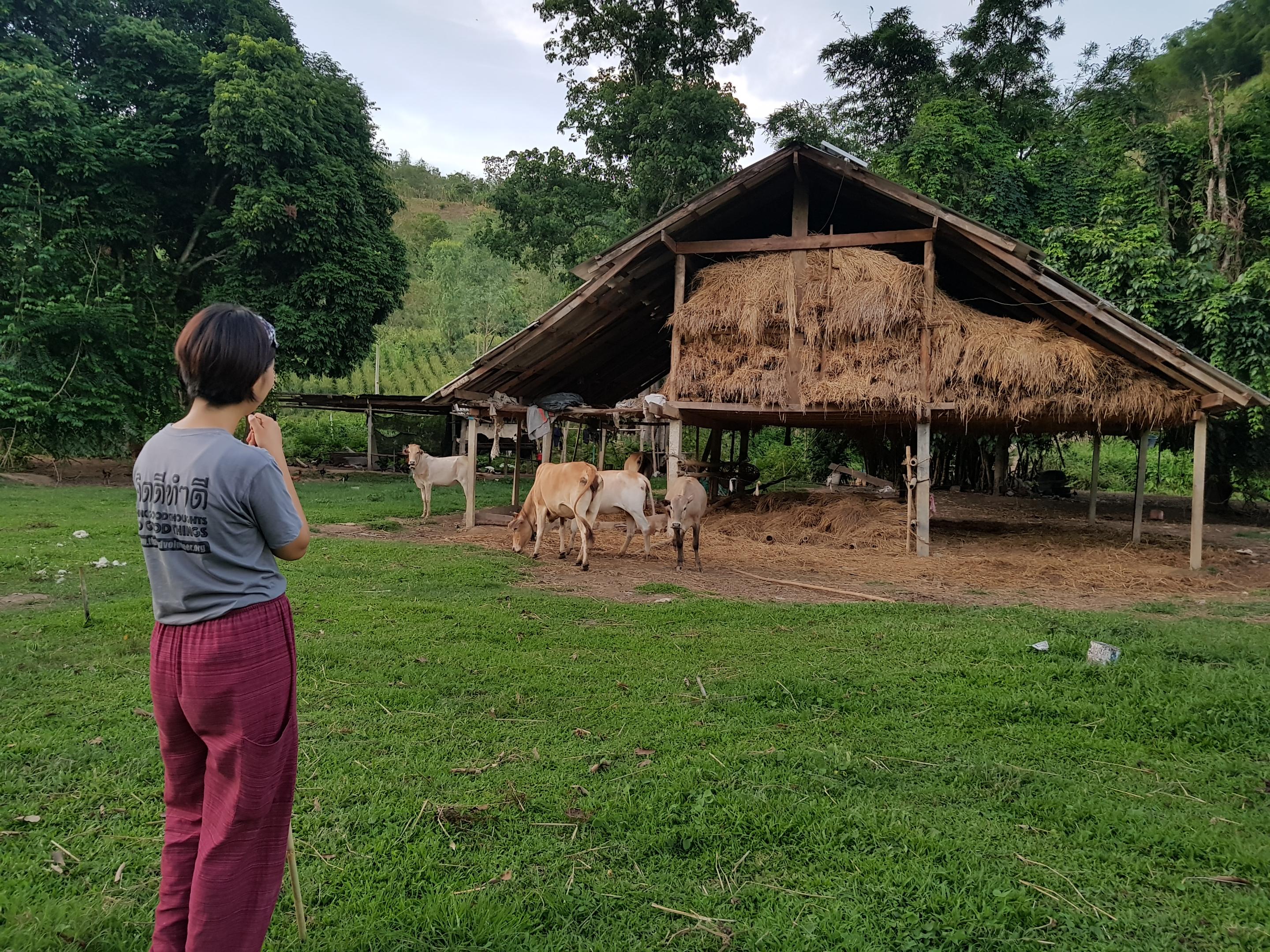 gapyear